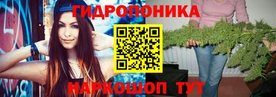 MESCALINE Кингисепп