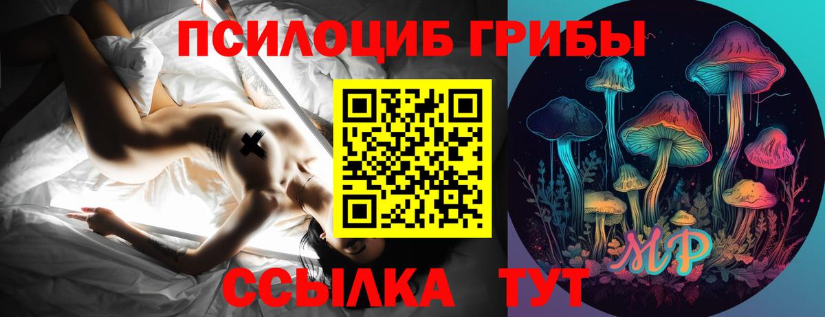 Галлюциногенные грибы GOLDEN TEACHER Красноуфимск