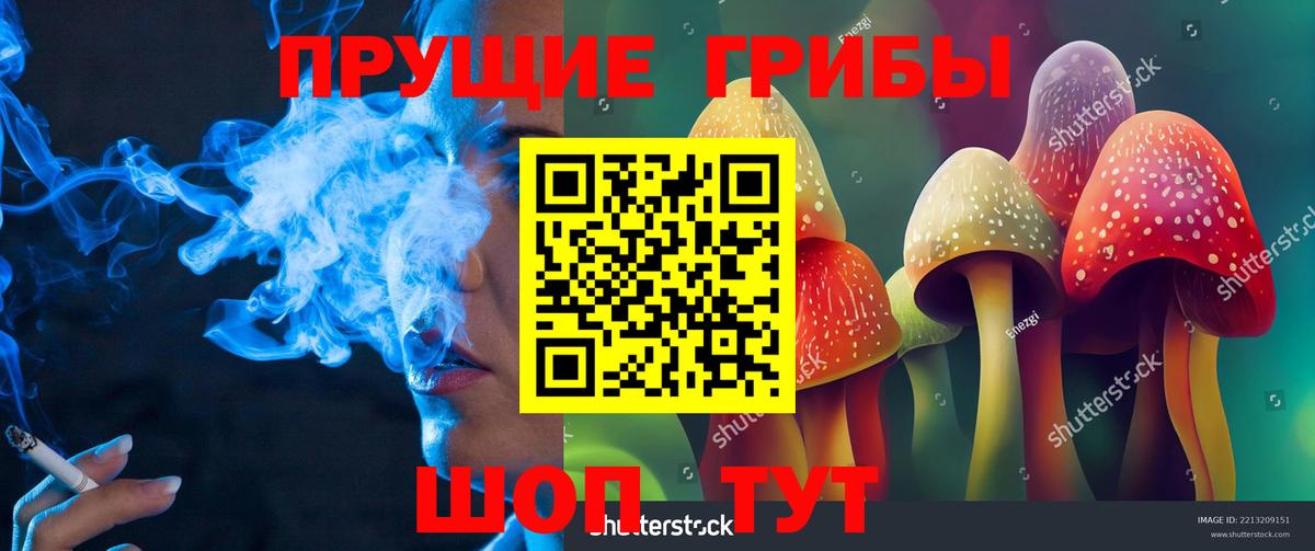 Красноуфимск  Псилоцибиновые грибы Psilocybe  купить закладку  Вход с VPN 
